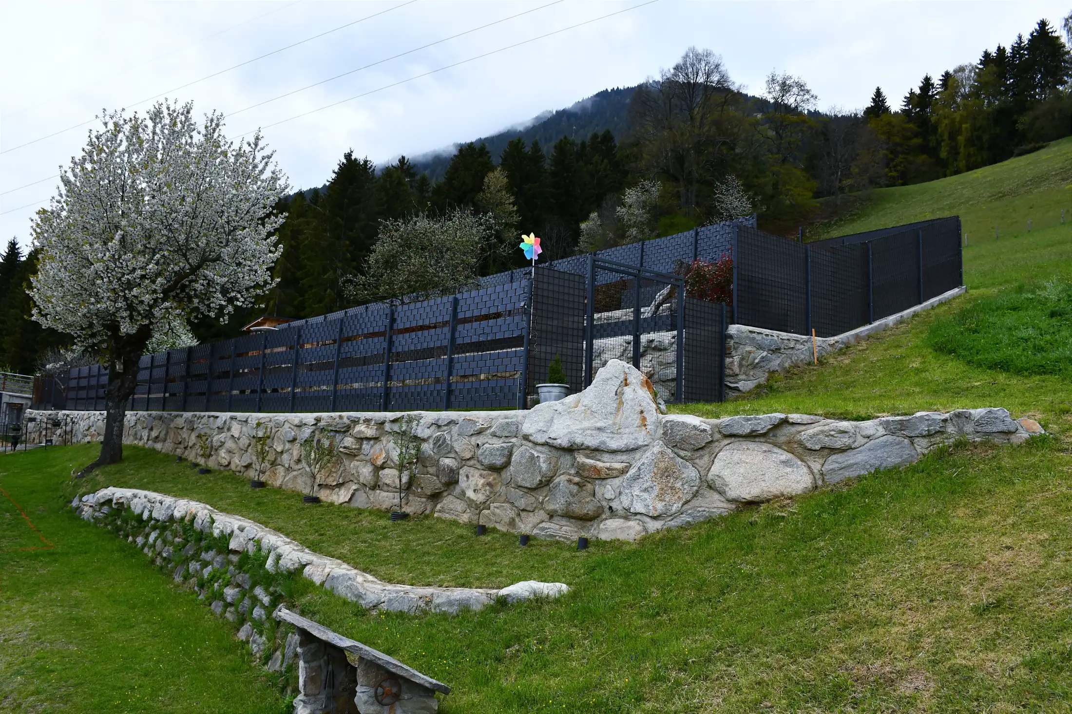 Gallery image 6